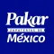Pakar USA