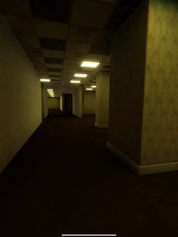 Liminal Space - The Backrooms iPad 应用截图