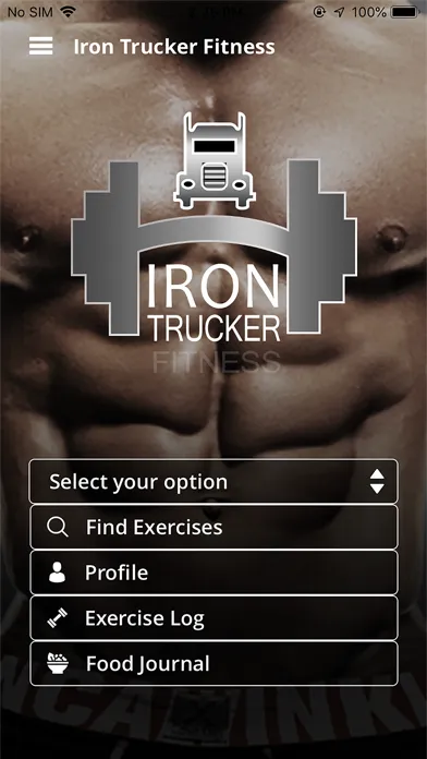 Ảnh chụp màn hình của Iron Trucker