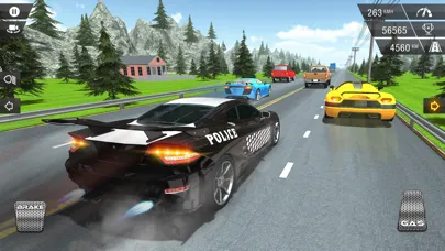 Screenshot di Racing In Police Car