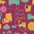 Colorful Cats Colorful Cats
