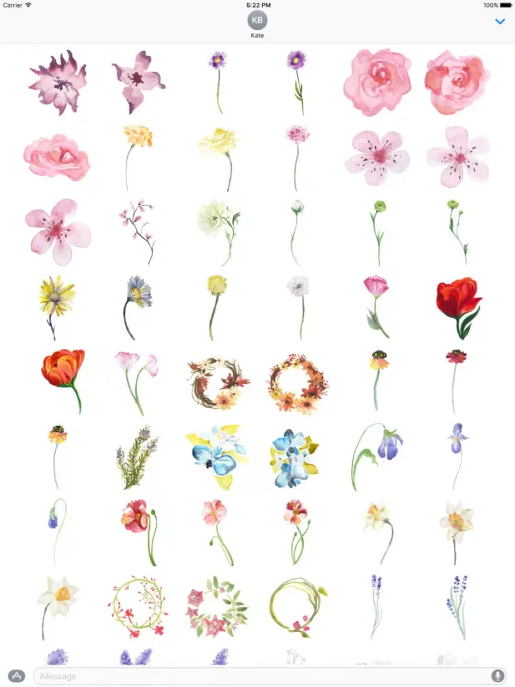 ภาพหน้าจอของ Flowers Galore 2 iPad 