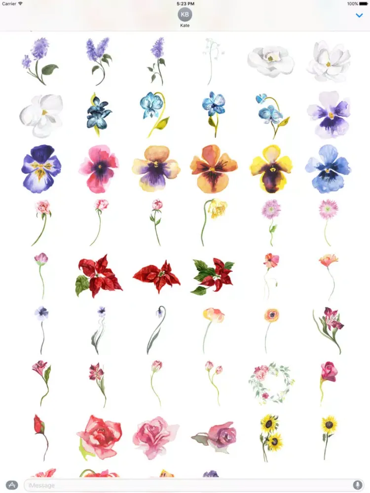 ภาพหน้าจอของ Flowers Galore 2 iPad 