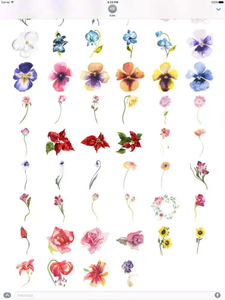 ภาพหน้าจอของ Flowers Galore 2 iPad 