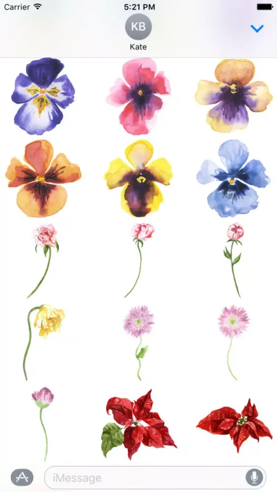ภาพหน้าจอของ Flowers Galore 2