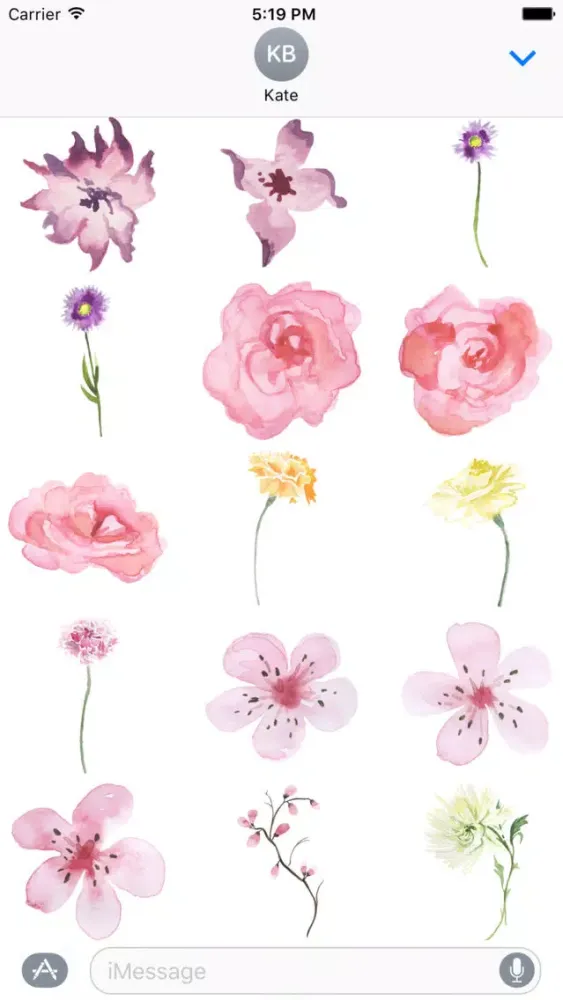 ภาพหน้าจอของ Flowers Galore 2