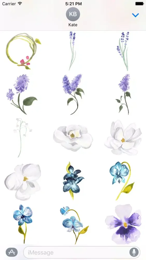 ภาพหน้าจอของ Flowers Galore 2