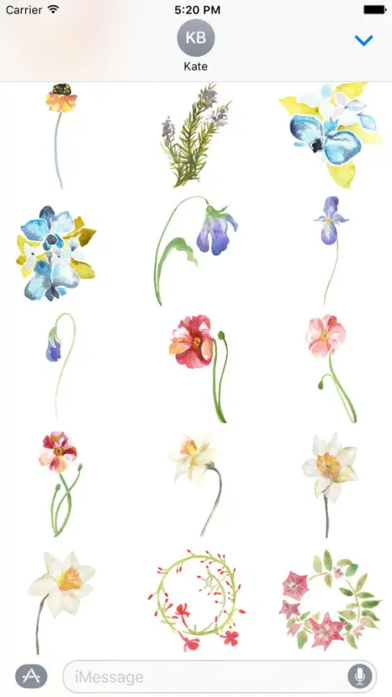 ภาพหน้าจอของ Flowers Galore 2