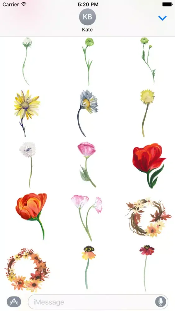 ภาพหน้าจอของ Flowers Galore 2