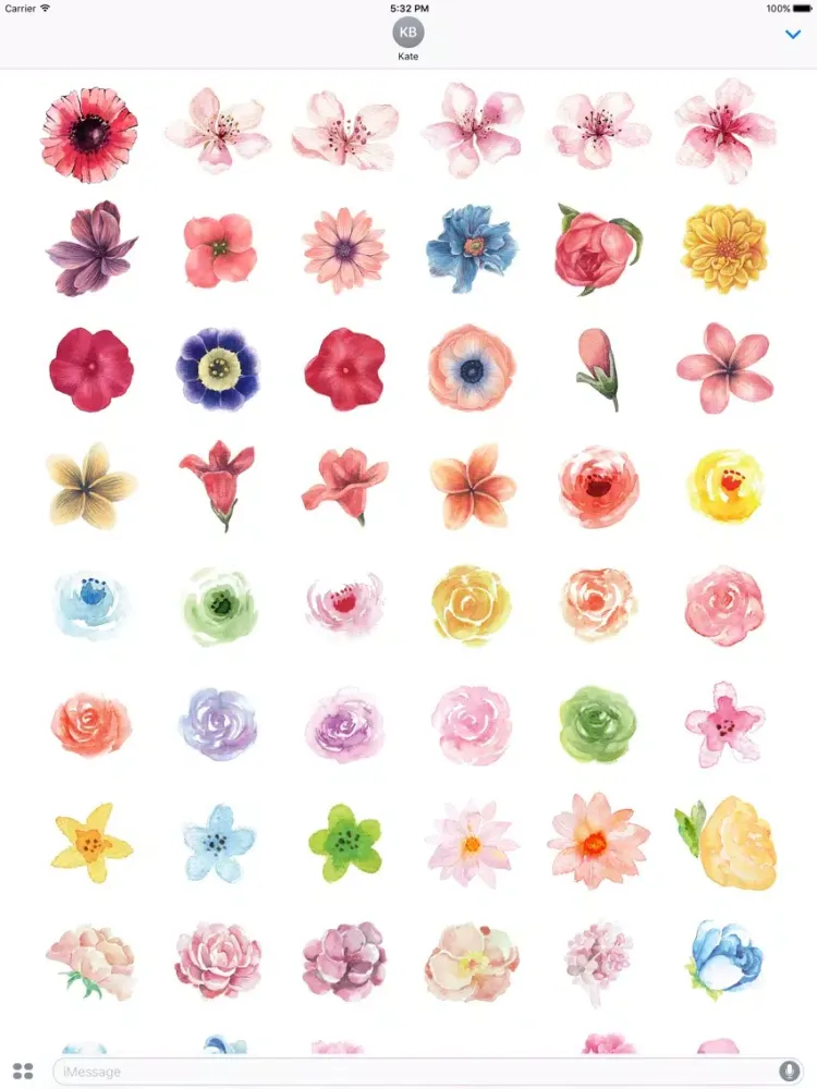 Flowers Galore Vol 3 iPad  Screenshots