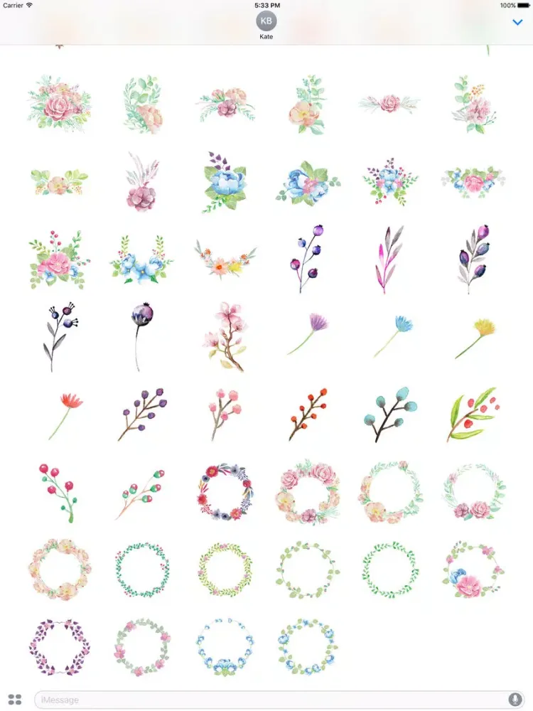Flowers Galore Vol 3 iPad  Screenshots
