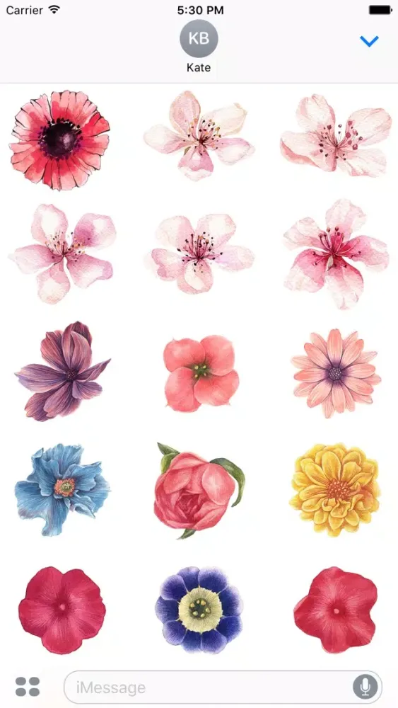 Flowers Galore Vol 3 Screenshots