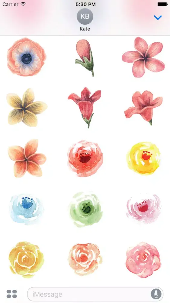 Flowers Galore Vol 3 Screenshots