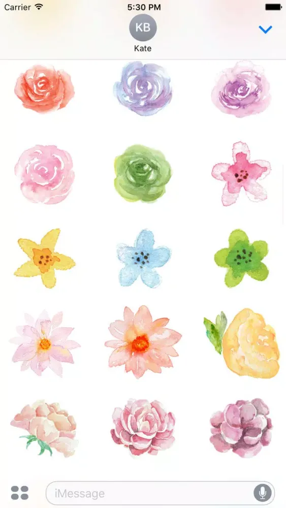 Flowers Galore Vol 3 Screenshots