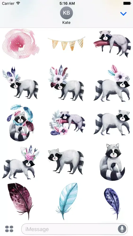 Zrzuty ekranu Raccoon Delight
