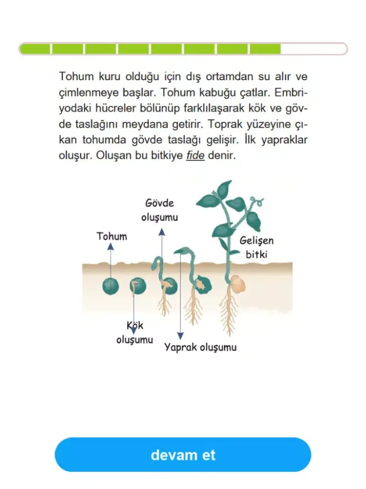 Screenshot di Fen Bilimleri 6. Sınıf Konu Anlatımı, Çözümlü Sorular, Testler iPad 