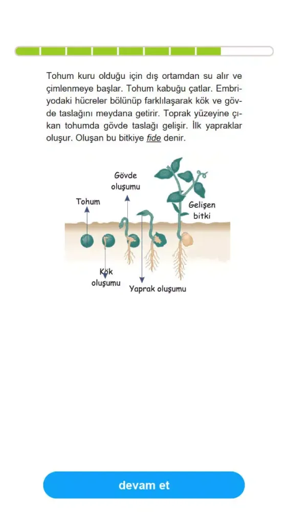 Screenshot di Fen Bilimleri 6. Sınıf Konu Anlatımı, Çözümlü Sorular, Testler