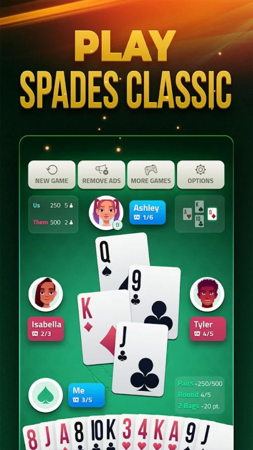 Spades Offline Card Game-screenshot-1