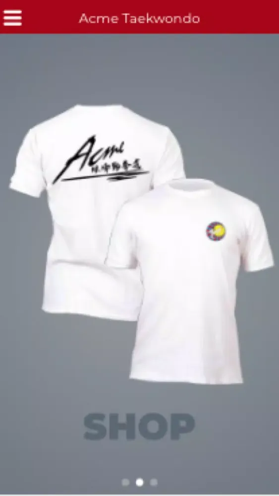 ACME TAEKWONDO 스크린샷