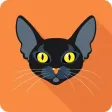 Cat Test: Choose your cat breed