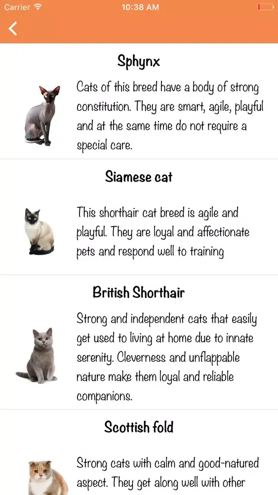 Cat Test: Choose your cat breed Screenshots