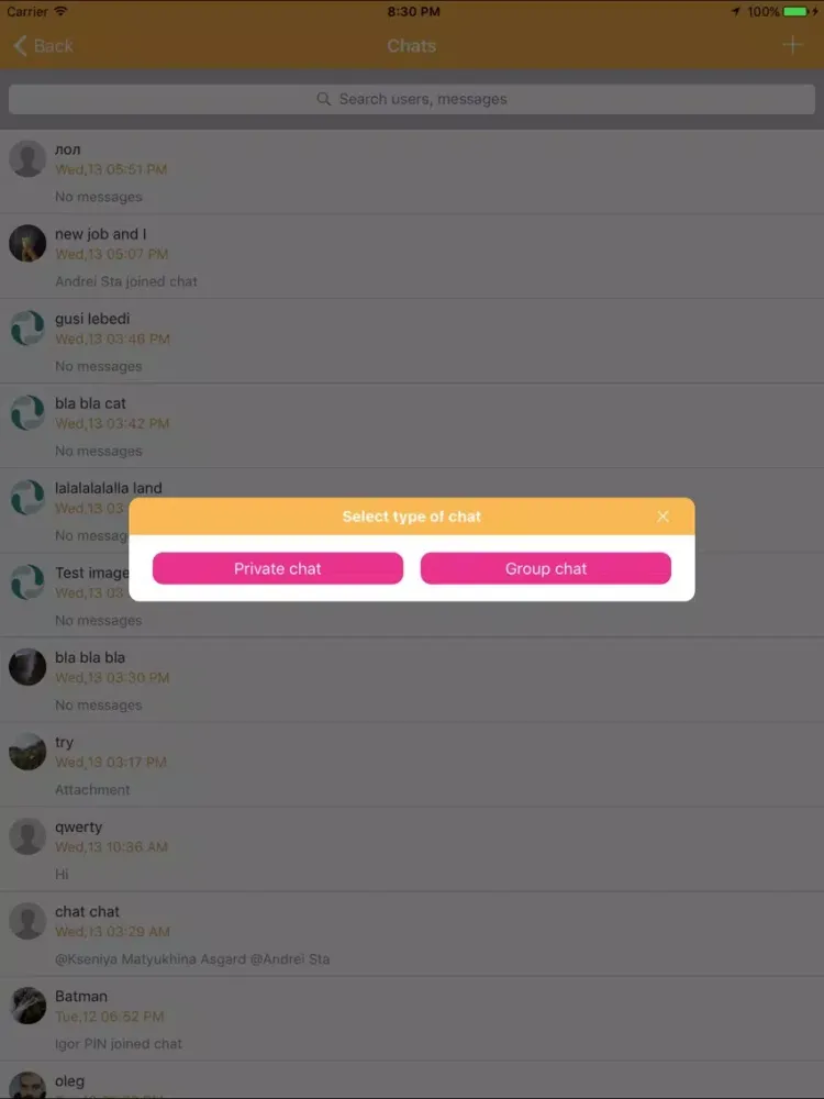 Zigloop iPad 应用截图