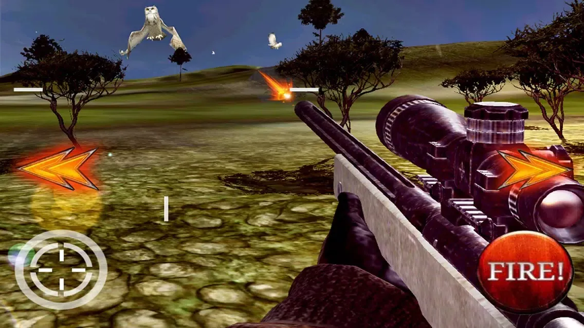 تصاویر Bird Hunter 3D 2015