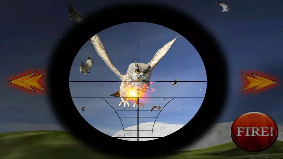 تصاویر Bird Hunter 3D 2015