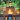 Farmer Stephen: Survivor
