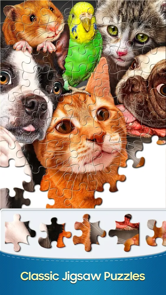Jigsaw Puzzle - Puzzle Games Screenshots