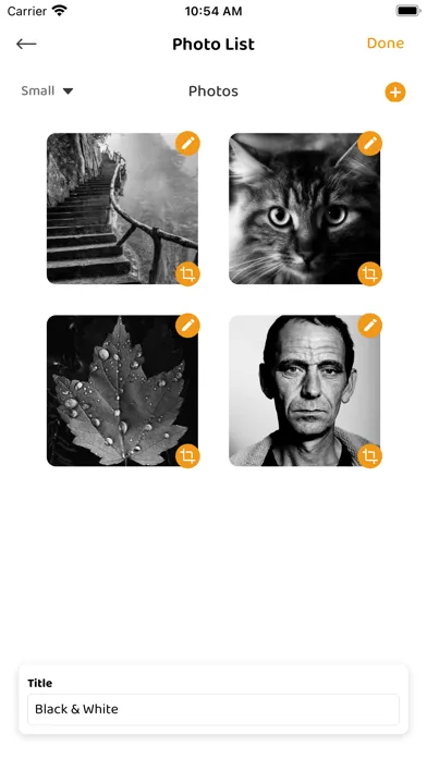 Capturas de tela do Photo FX Editor: Color Changer