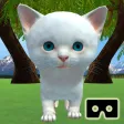 VR Kitten VR Kitten
