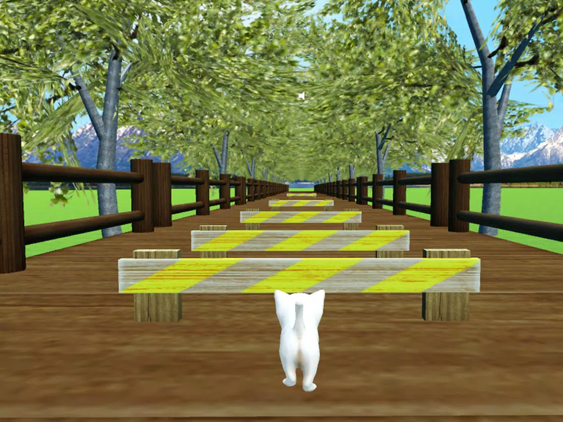 VR Kitten iPad 應用截圖