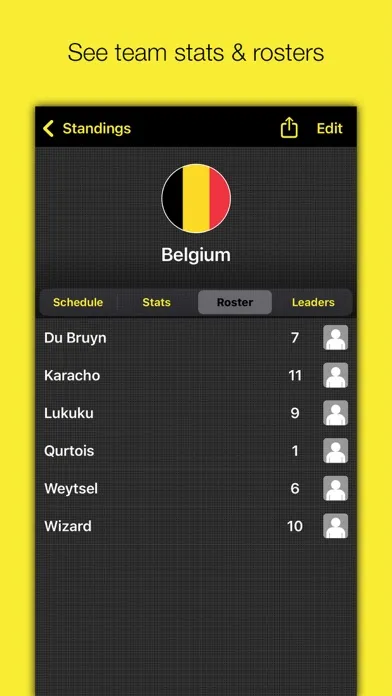 Screenshot di Champion – Tournament Manager