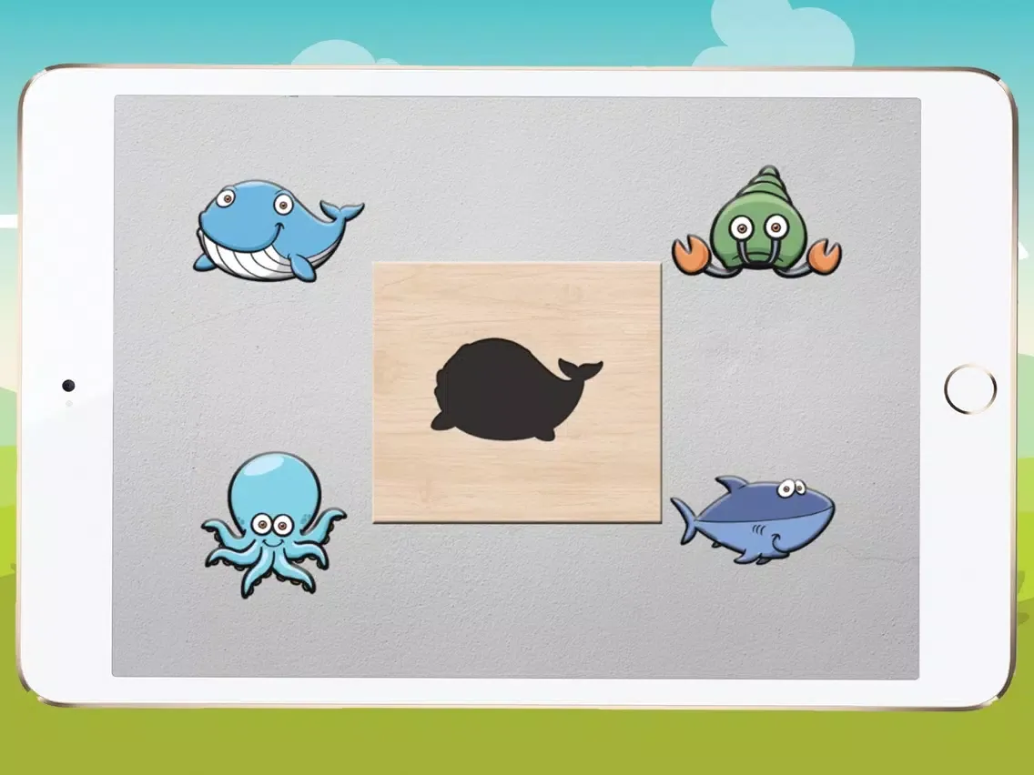 Shadow Puzzle Game For Kids iPad  Screenshots