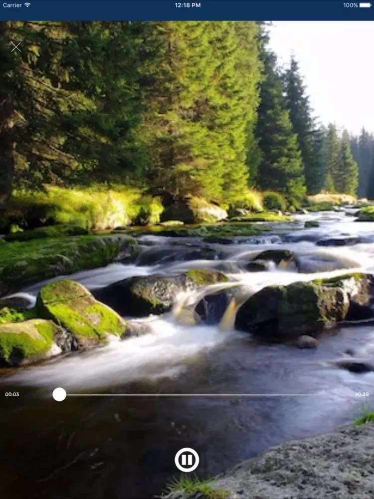 Zrzuty ekranu Zen Pro Meditation - Binaural Beats Program App iPad 