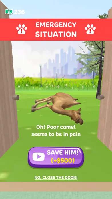 Paw Care!應用截圖