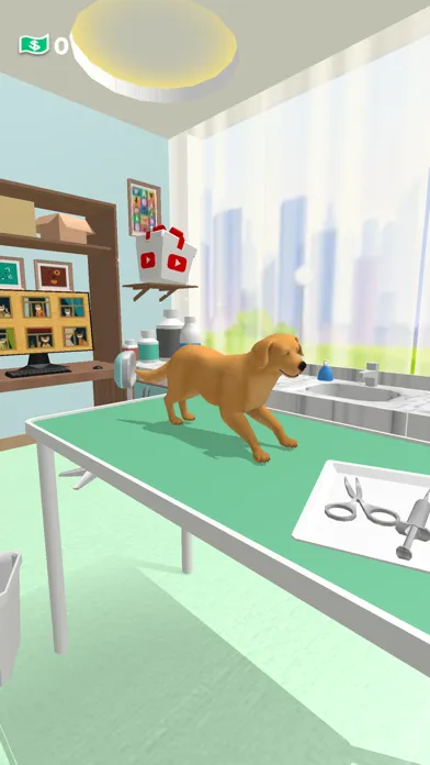 Paw Care!應用截圖