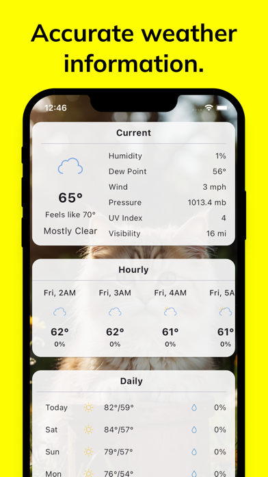 Screenshot di Meow Weather - Cat Forecast