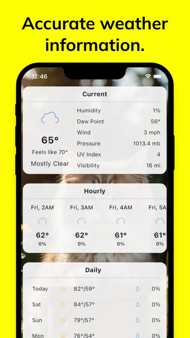 Captures d'écran de Meow Weather - Cat Forecast