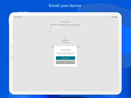 Citrix Secure Hub iPad 应用截图
