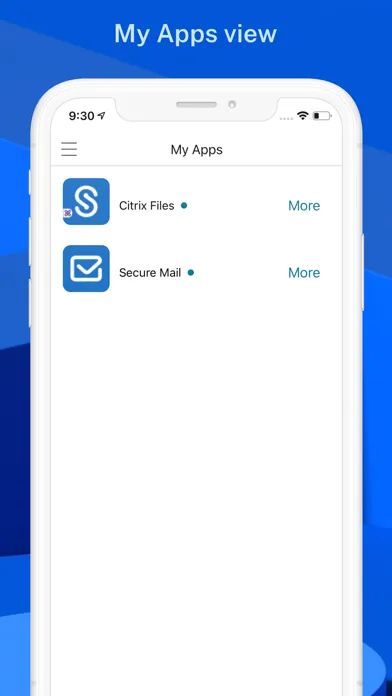 Citrix Secure Hub应用截图