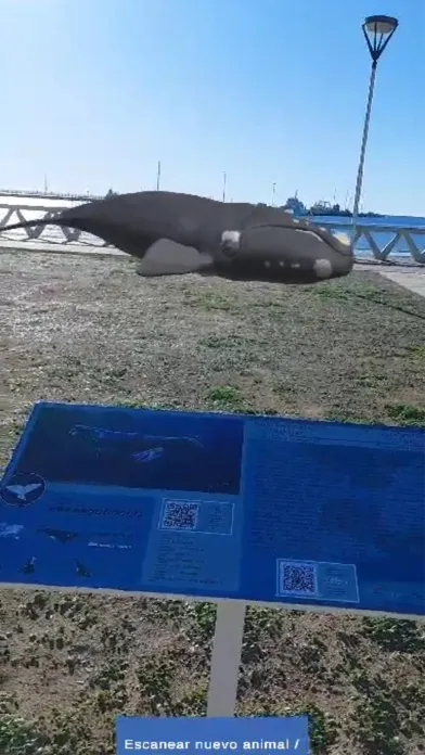 Capturas de pantalla de Fauna 3D Puerto Madryn