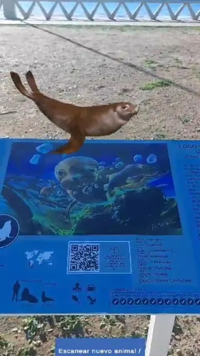 Capturas de pantalla de Fauna 3D Puerto Madryn