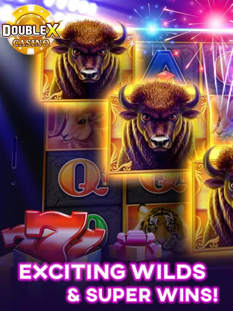 DoubleX Screenshots
