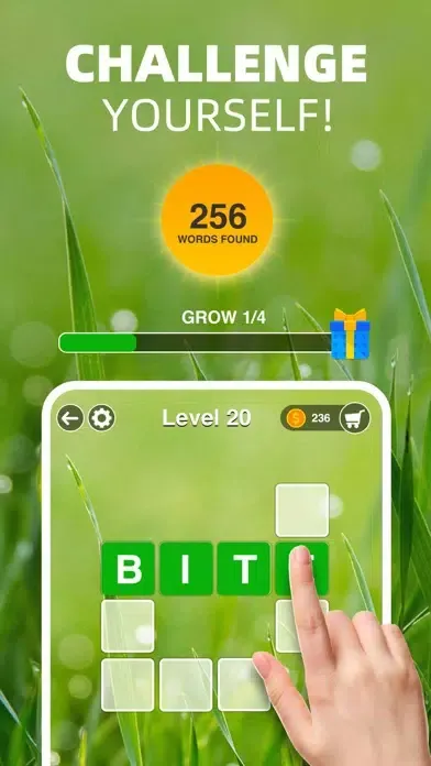 Capturas de tela do Zen Word Puzzle