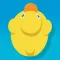 DUCK in the POOL