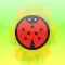 Ladybug Game