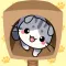 Cat Condo 2