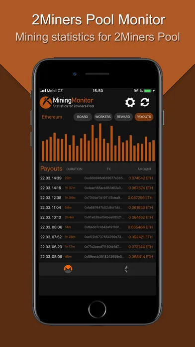 Tangkapan skrin Monitor for 2Miners Pool